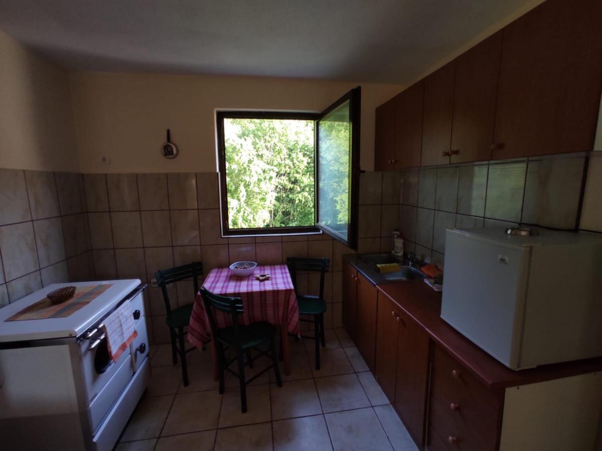Apartmani Jana Bijelo Polje Εξωτερικό φωτογραφία