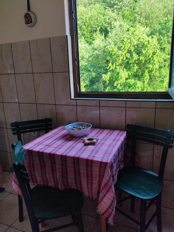 Apartmani Jana Bijelo Polje Εξωτερικό φωτογραφία