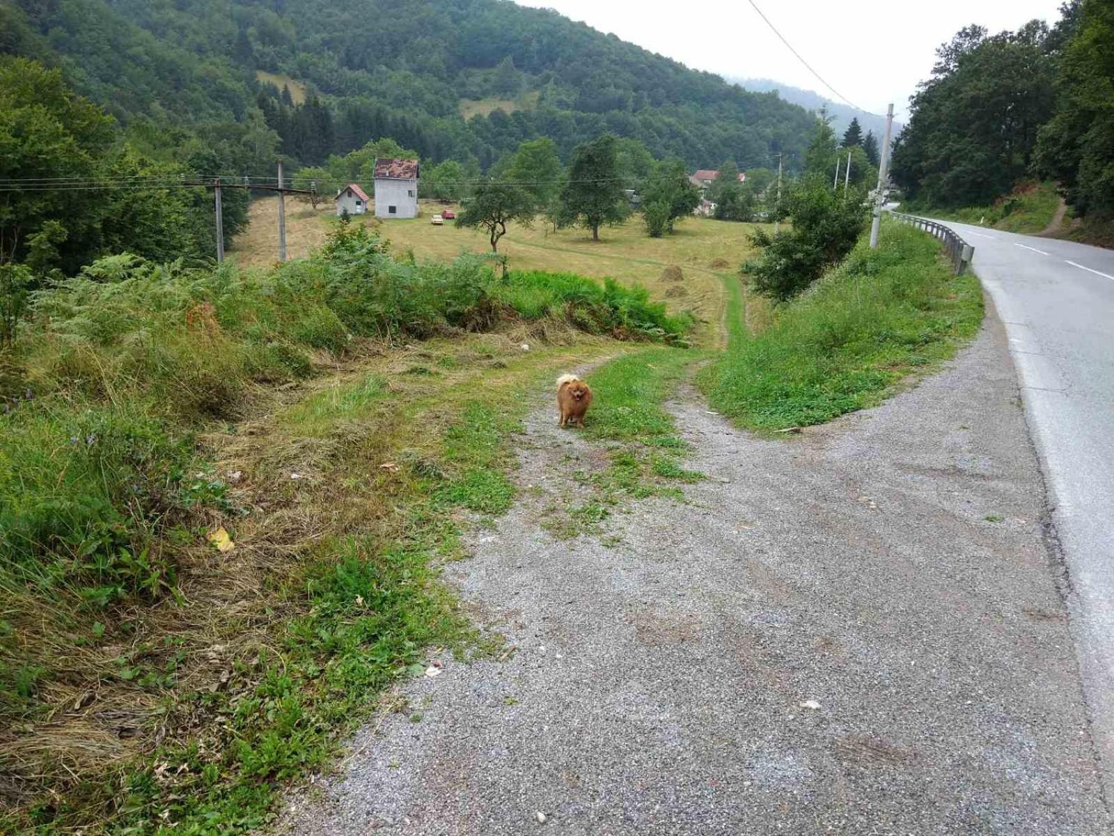 Apartmani Jana Bijelo Polje Εξωτερικό φωτογραφία
