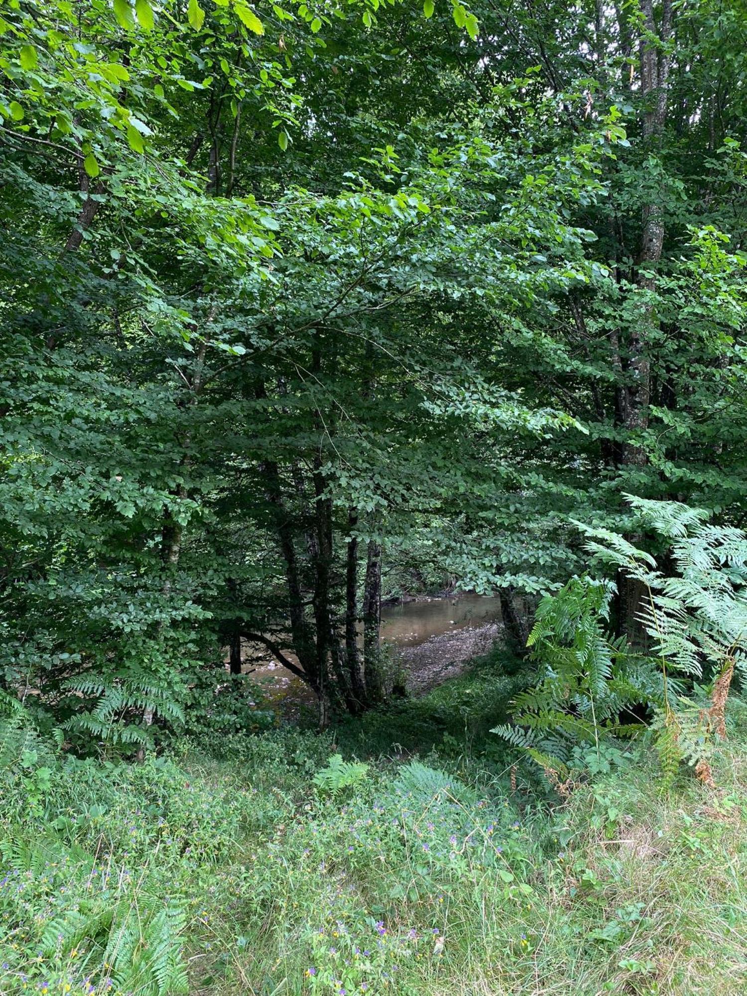 Apartmani Jana Bijelo Polje Εξωτερικό φωτογραφία